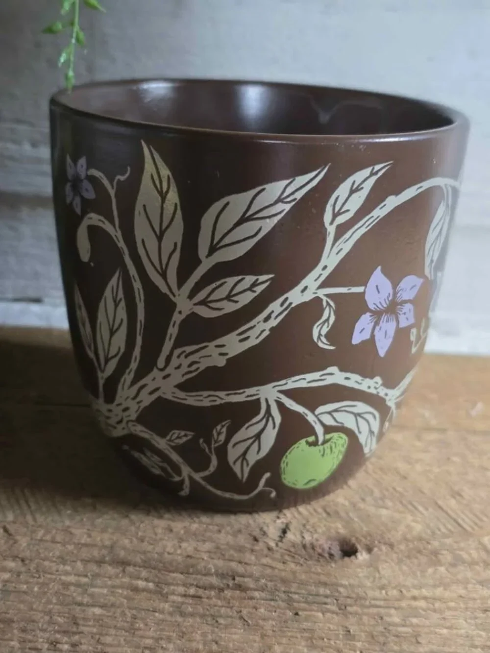 Fairyloot Sleep Like death by Kalynn Bayron Plant Pot with Birds Apples Book Box
